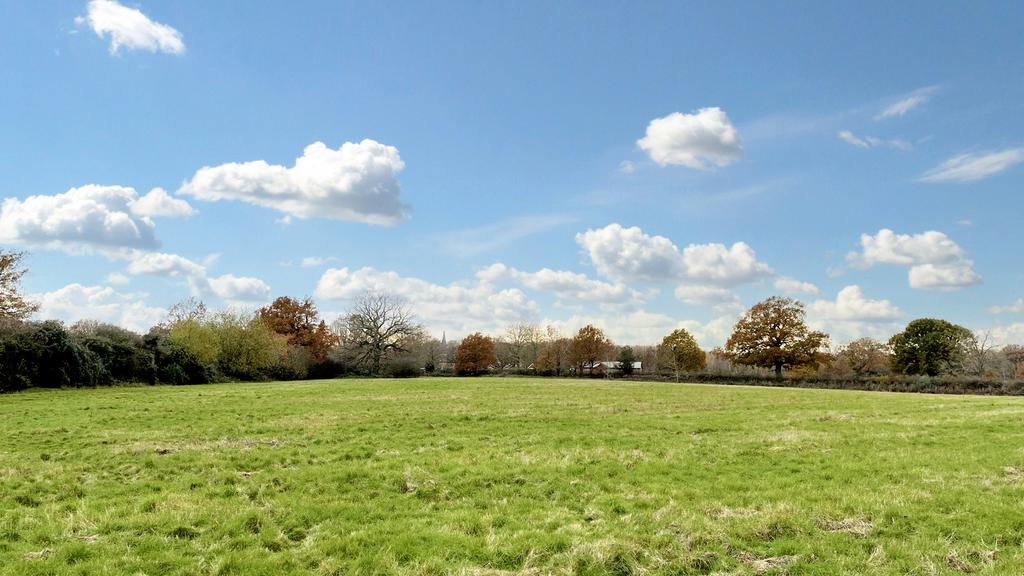 Pasture land for sale in Edenbridge, Kent.