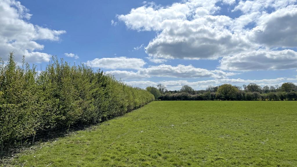 Grazing land for sale in Edenbridge, Kent.