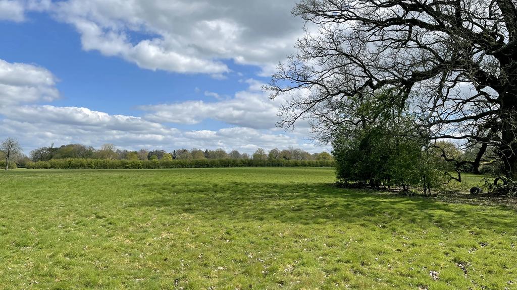 Paddock for sale in Edenbridge, Kent.