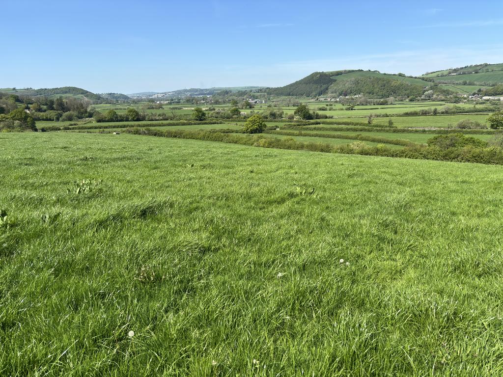 Land