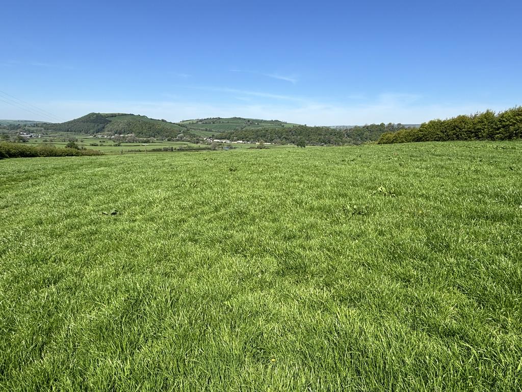 Land