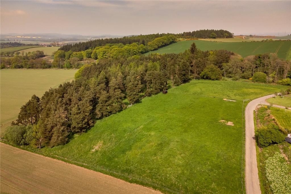 Paddocks & Woodland