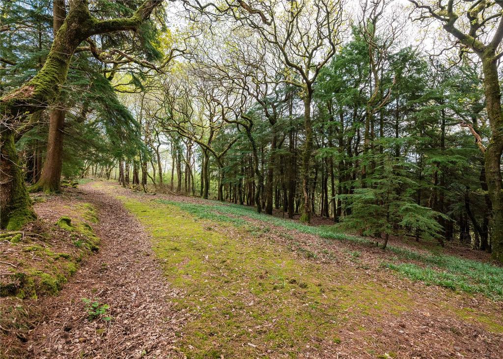 Woodland