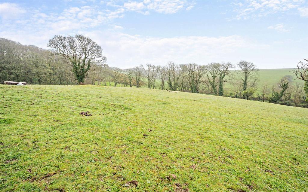 Field