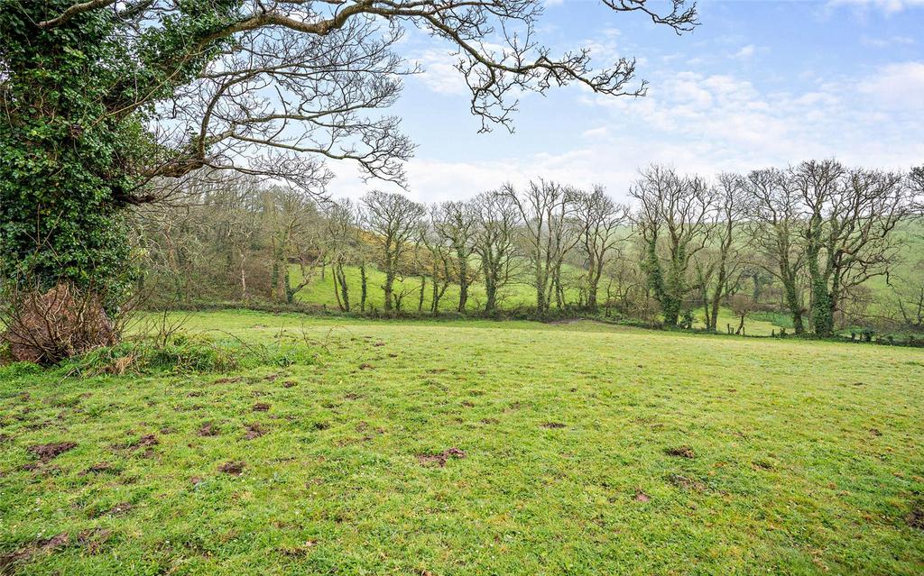 Field