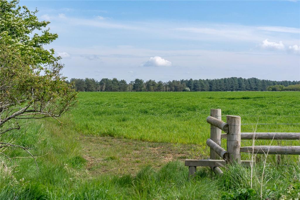 Airfield Farm