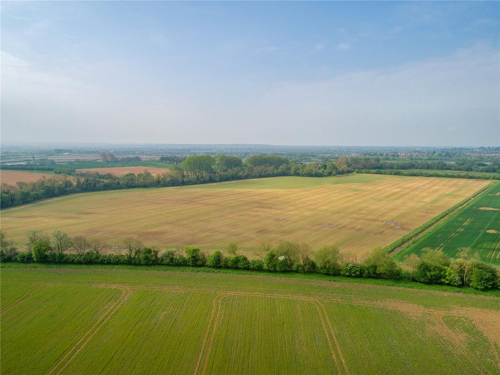 Alex Farm