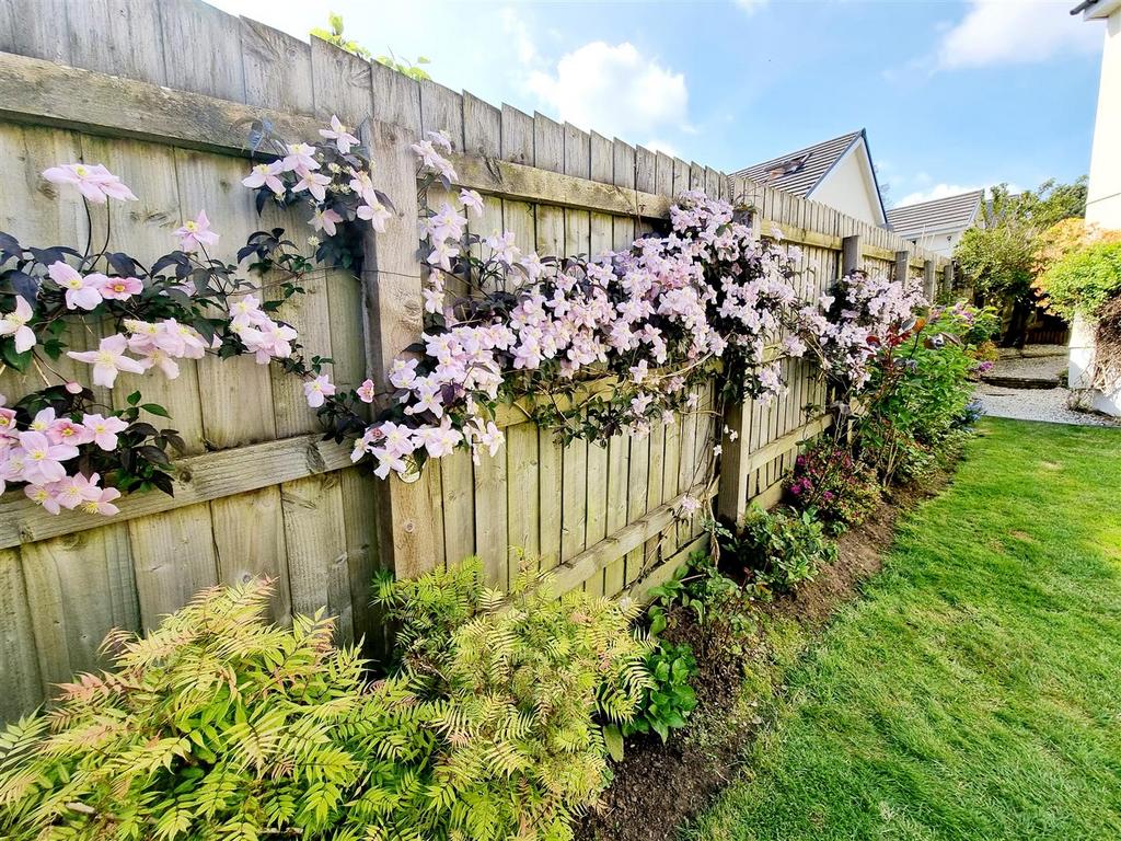 Fence.jpg