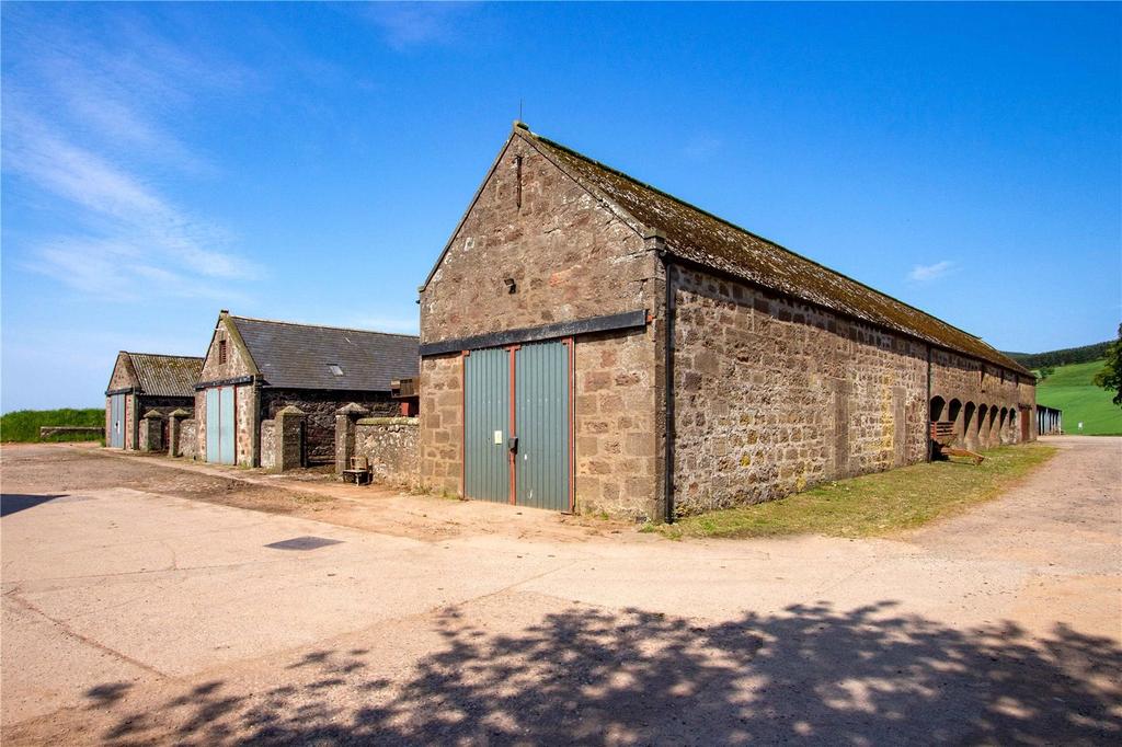 Steading