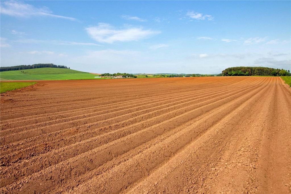Land