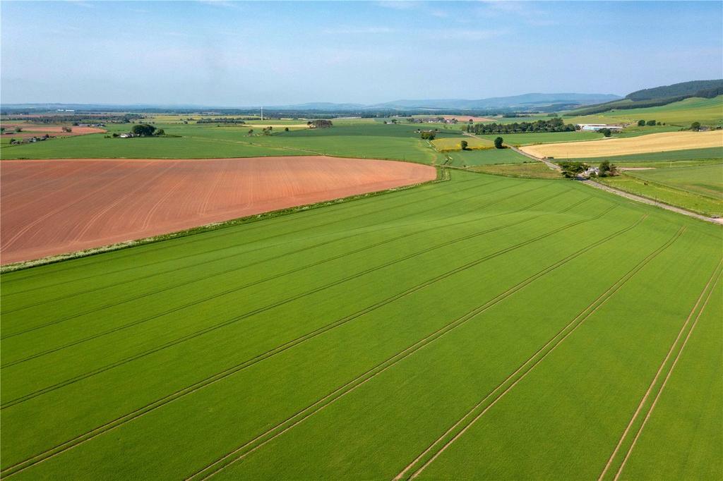 Land