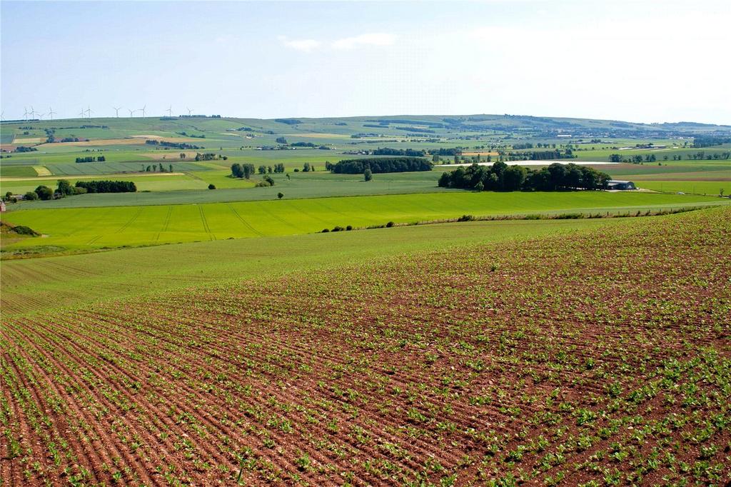 Land