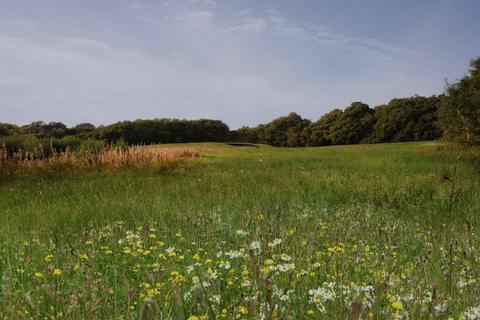 Plot for sale, Starvecrow Lane, Peasmarsh, Rye, East Sussex