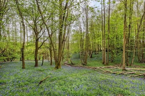 Plot for sale, Starvecrow Lane, Peasmarsh, Rye, East Sussex