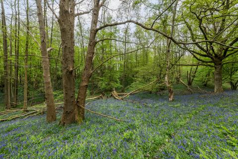 Plot for sale, Starvecrow Lane, Peasmarsh, Rye, East Sussex, TN31