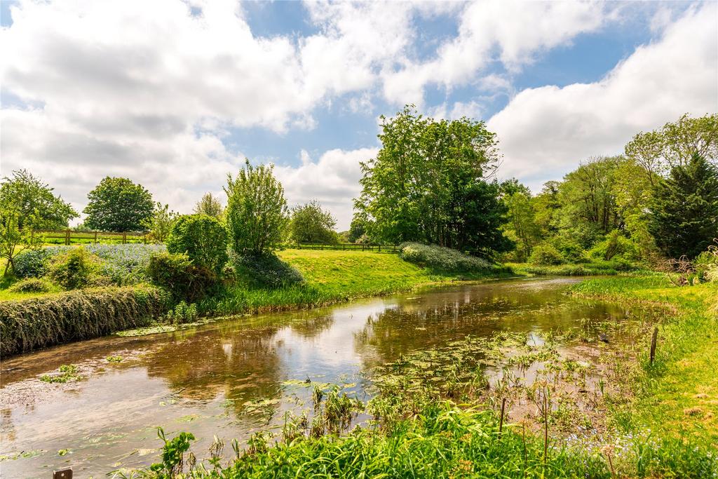 Mill Pond