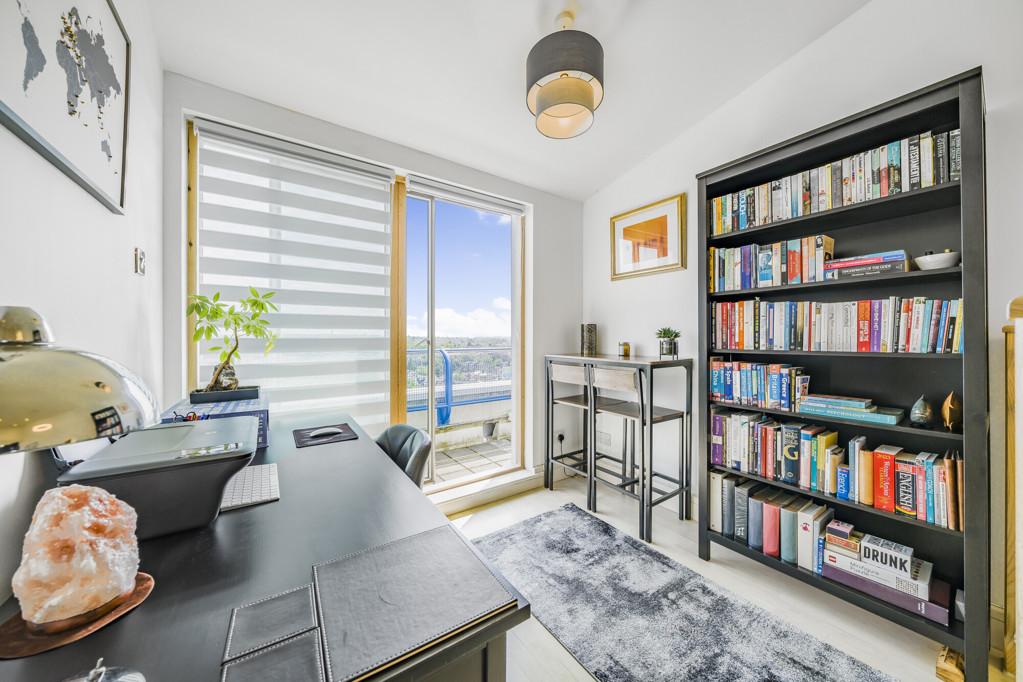 Study Area