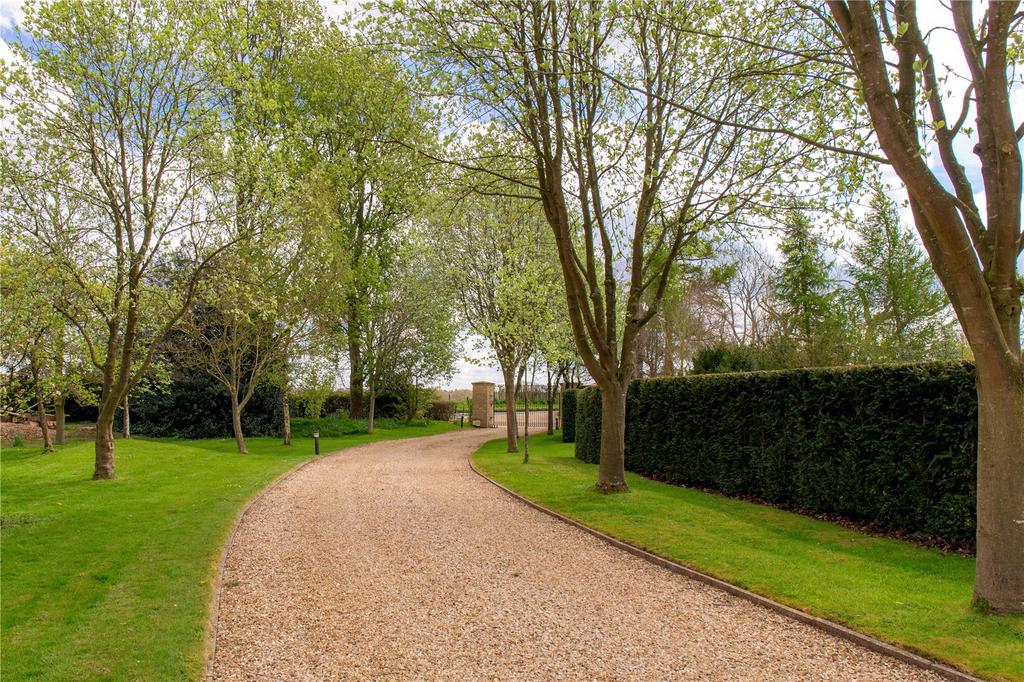 Sweeping Driveway