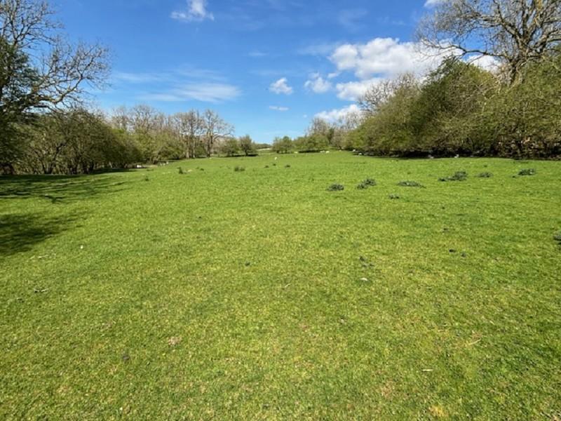 Lot 2