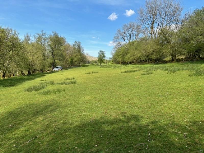 Lot 2