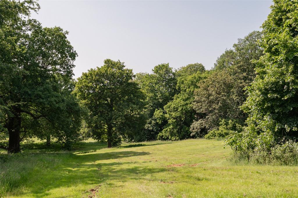 Grounds