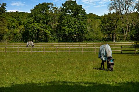 6 bedroom equestrian property for sale, Pamber Road, Charter Alley, Tadley, Hampshire