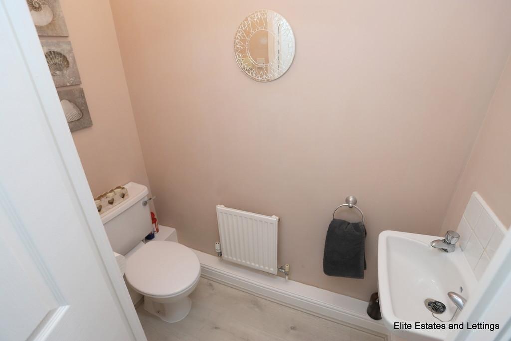 13 img 7569