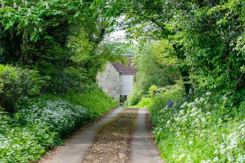 Oatfield Driveway