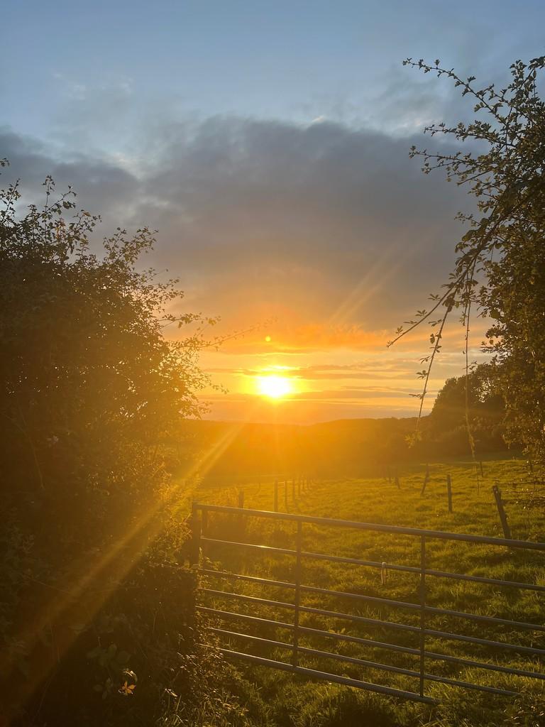 Sunset 3