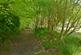 Additional image 21 of Brandis Corner, Holsworthy, Devon, EX22