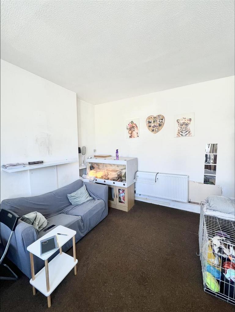 Living area/bedroom