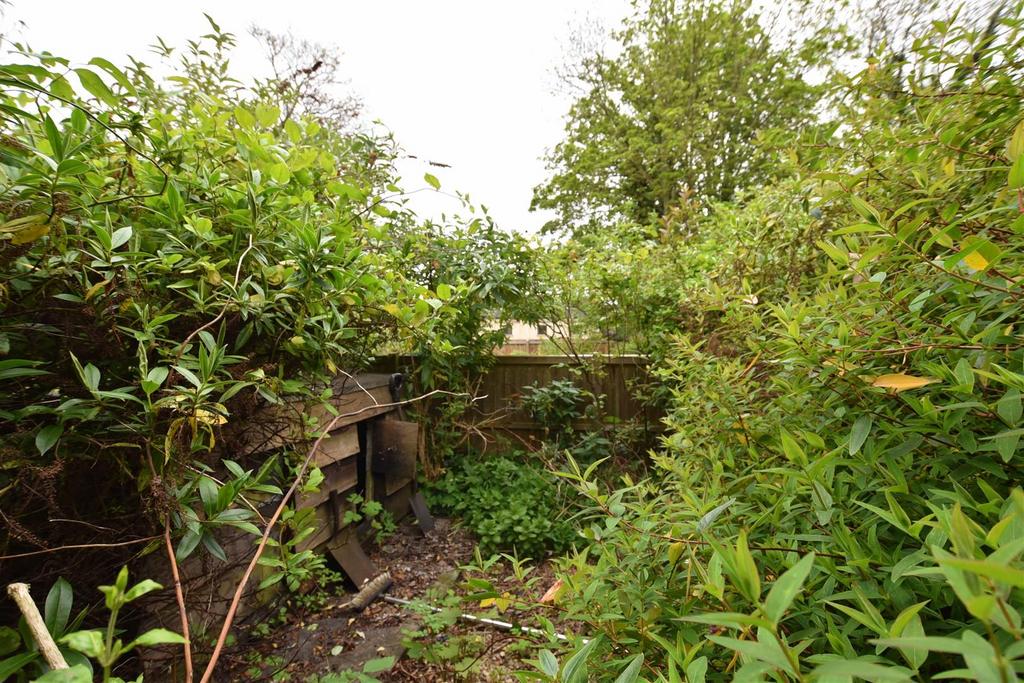 Rear Garden.jpg