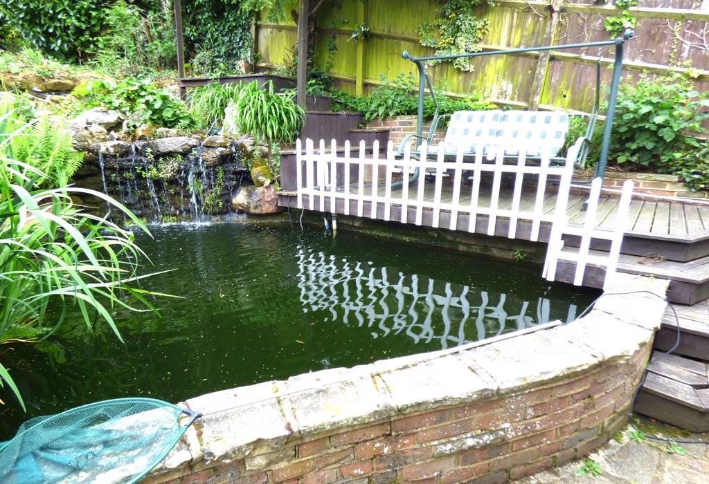 Ornamental Pond