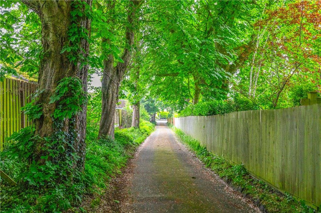 Driveway