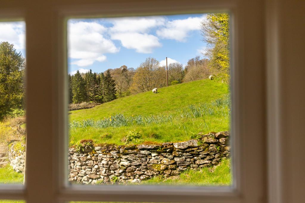 View from the side window of bedroom 2