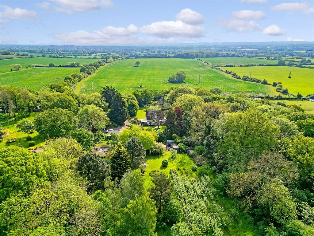 Aerial Shot