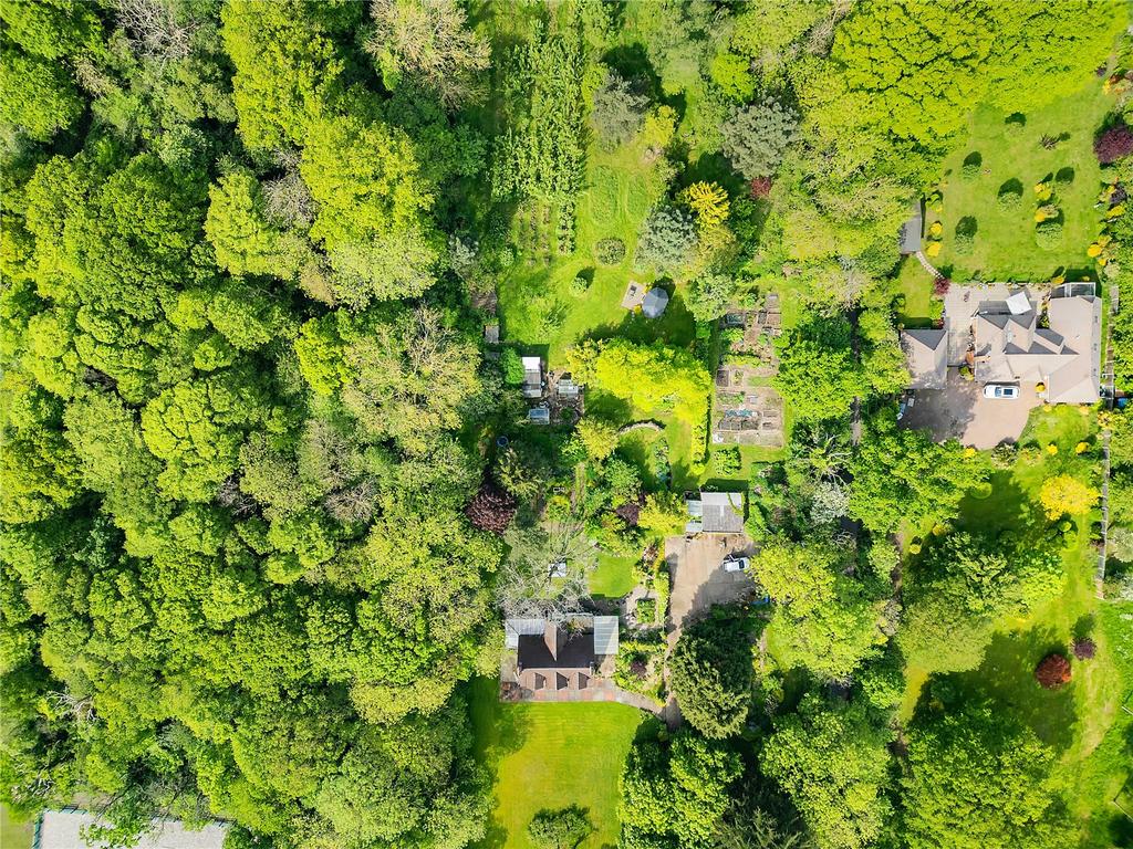 Aerial Shot