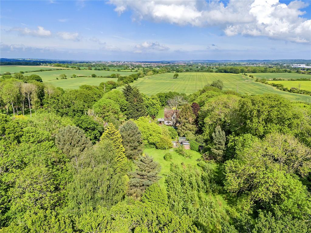 Aerial Shot