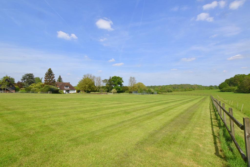 View Paddock