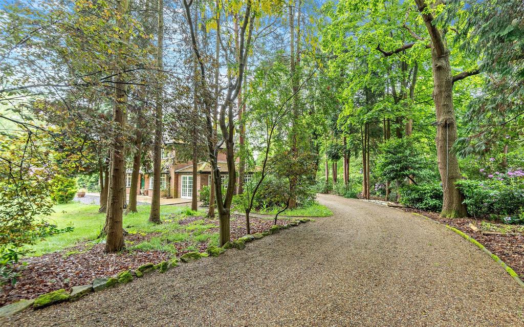 Driveway