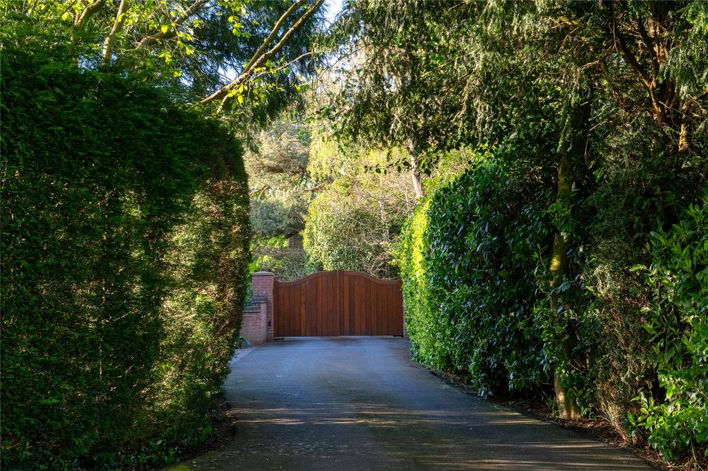 Driveway