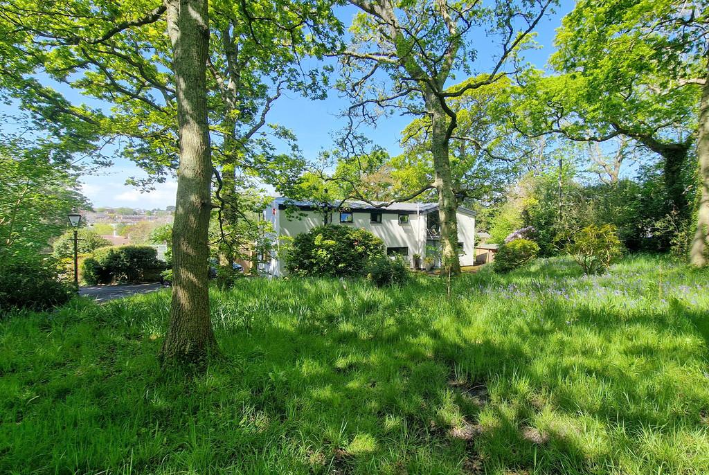 Oak Lodge Woodland