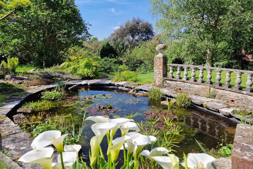 Oak Lodge Pond