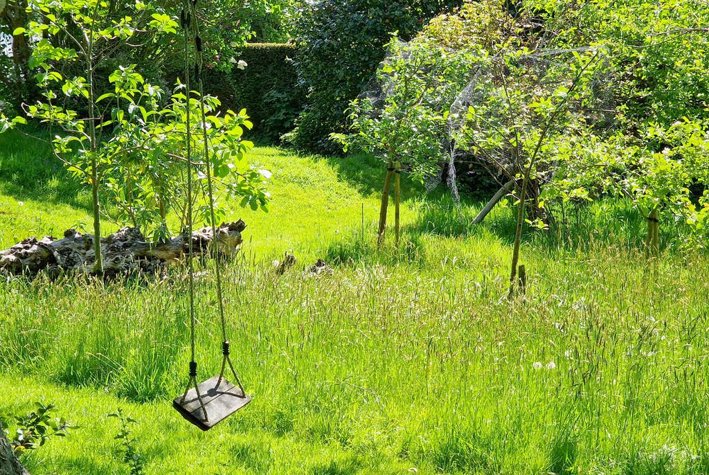 Oak Lodge Swing