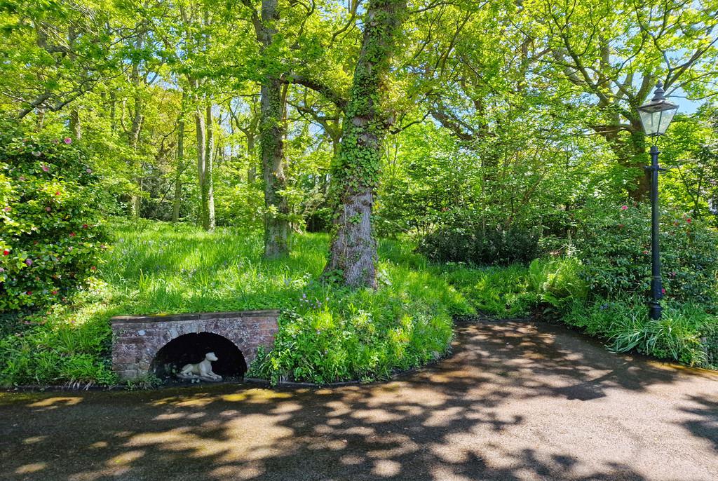Oak Lodge Woods Atmos