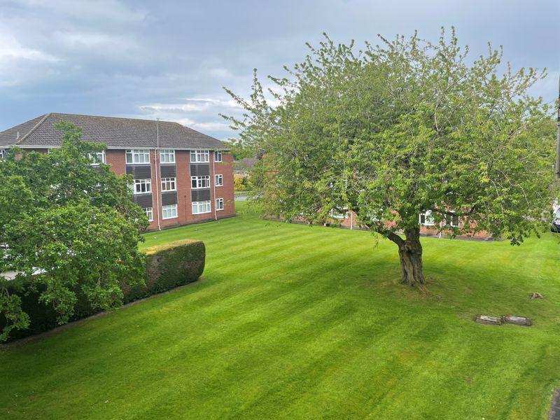 Communal gardens