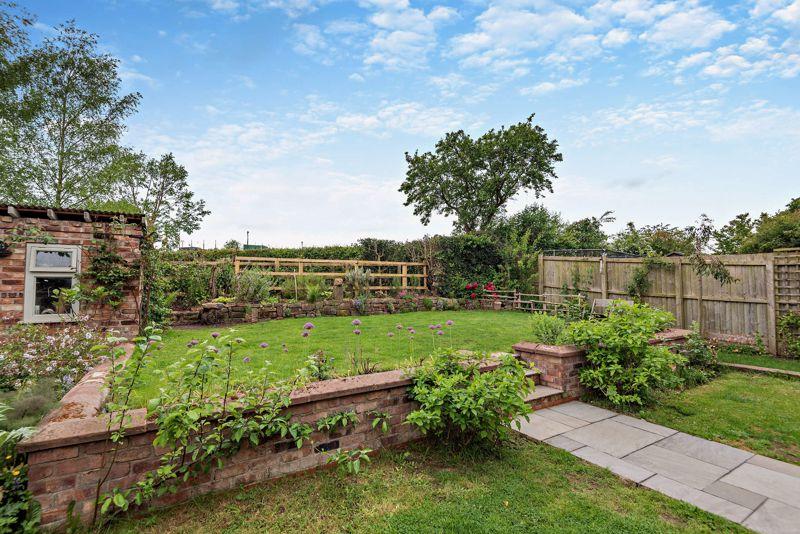 Garden (6)