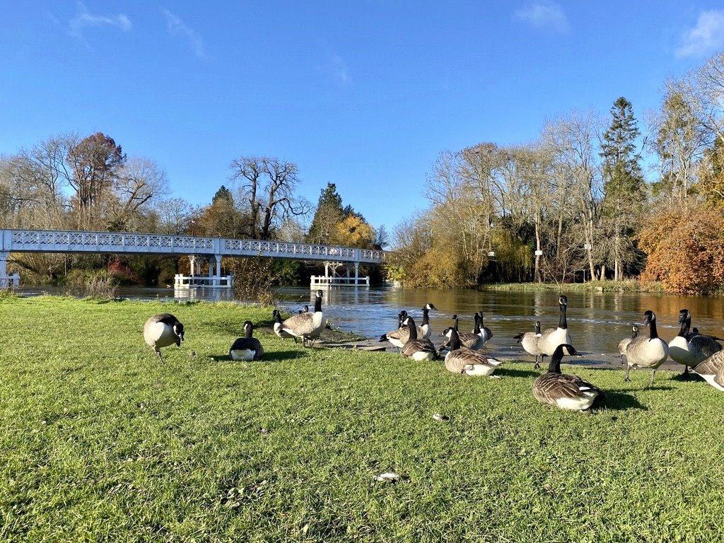 Pangbourne Thames