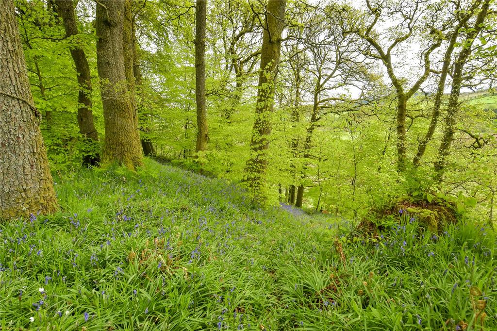 Upper Woodinch