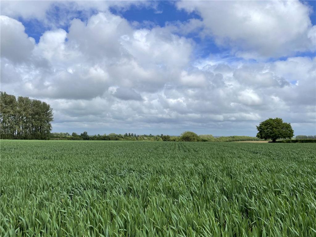 Land At Seavington St. Michael... Land for sale £95,000